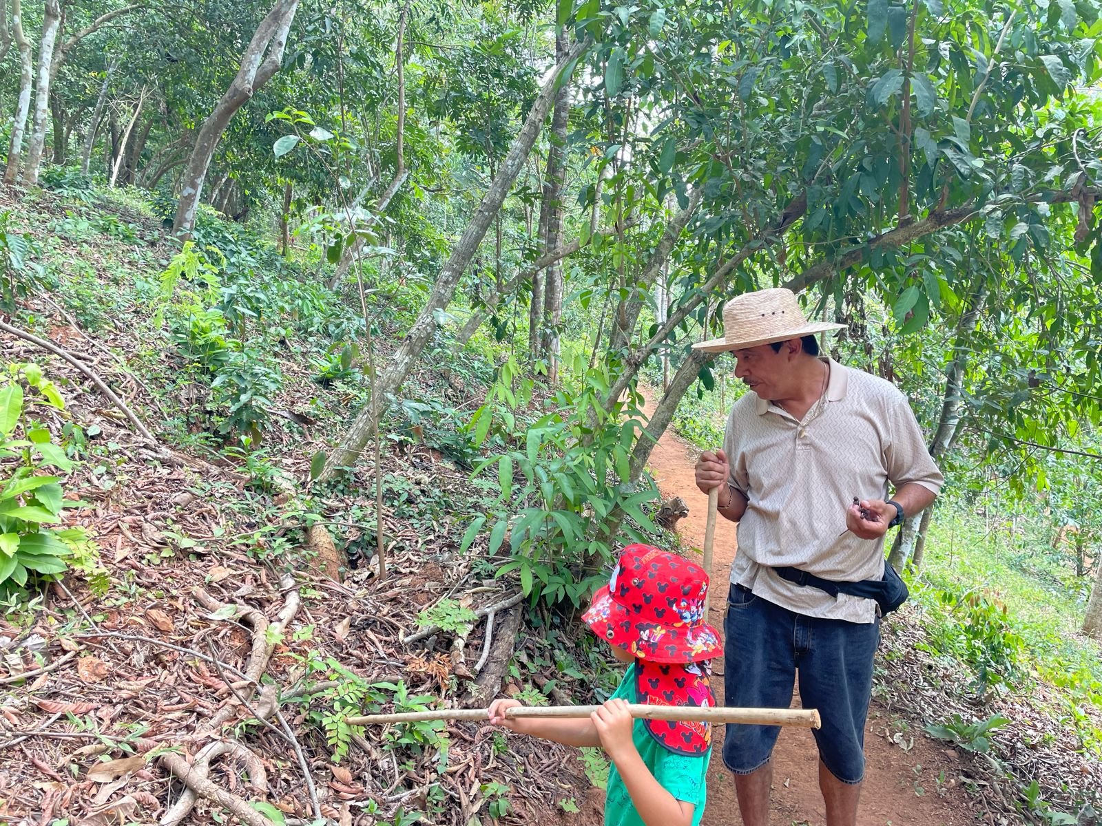 Gifts from the Sierra Madre