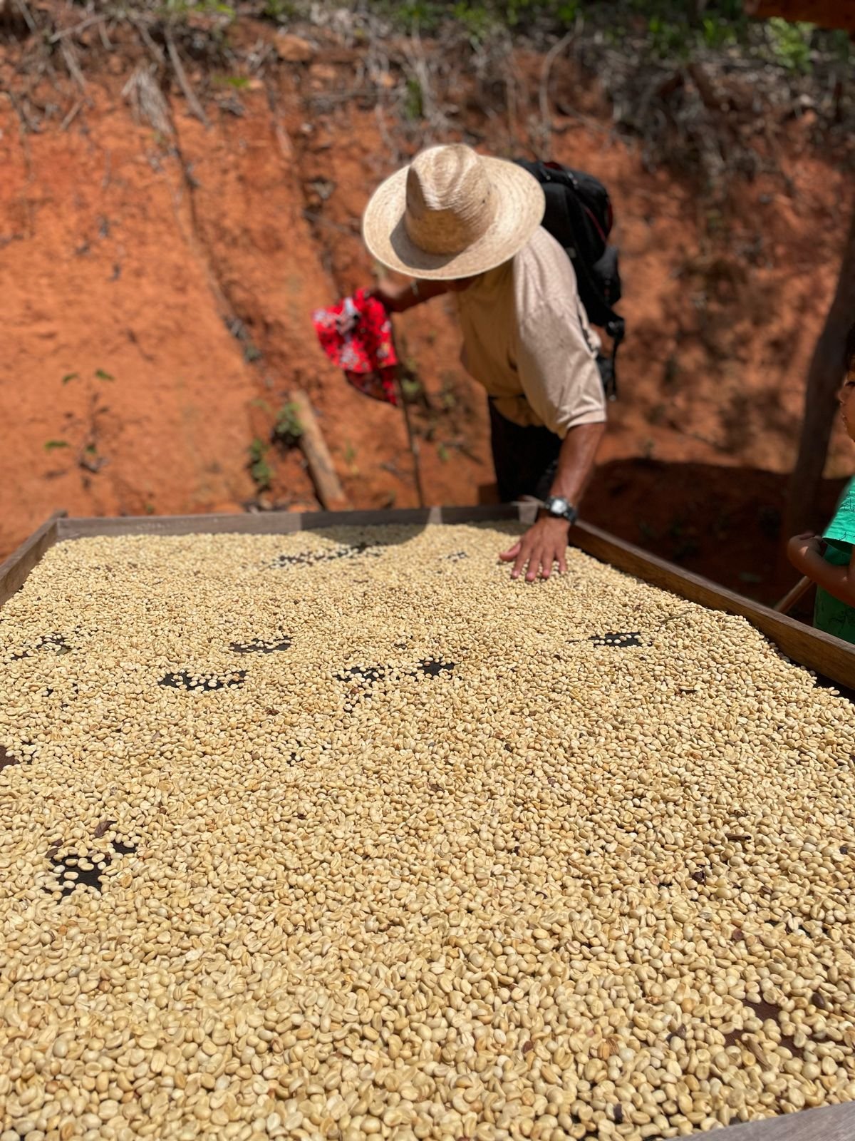 Gifts from the Sierra Madre